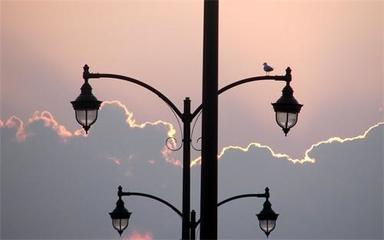 房地产杂志概览与图书刊物销售指南